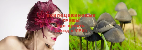 индика Алексеевка