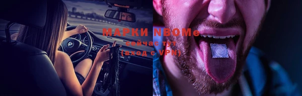 мет Алексин