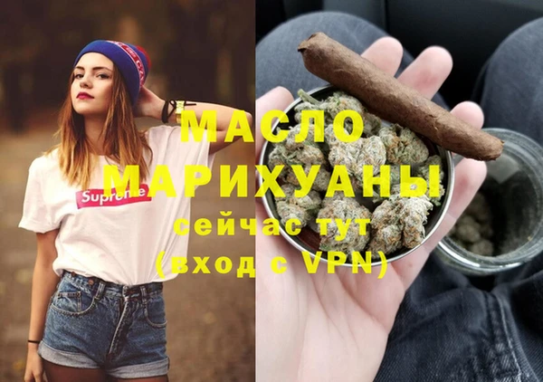 мет Алексин