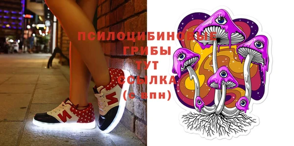 индика Алексеевка