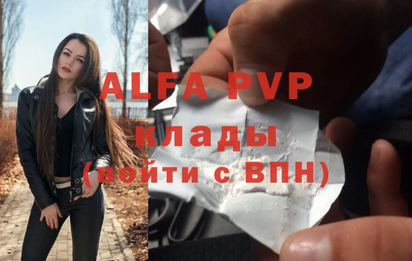 мет Алексин