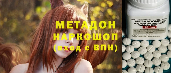 мет Алексин